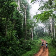 Réfugiés ivoiriens sur la route entre Janzon et Zwedru, au Liberia