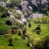 La campagne de la vallée de Gora