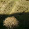 Les montagnes au dessus de Brod