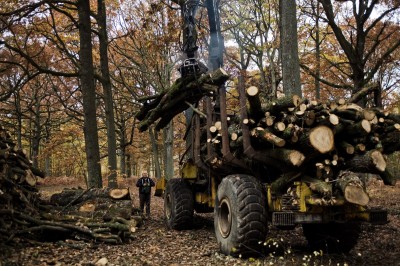 Débardage du bois coupé en forêt de Rambouillet. © Juliette Robert/Youpress