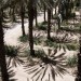 Dans la plantation de palmiers-dattiers. thumbnail