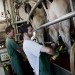 La traite des vaches, ultra moderne, à YotVata. thumbnail
